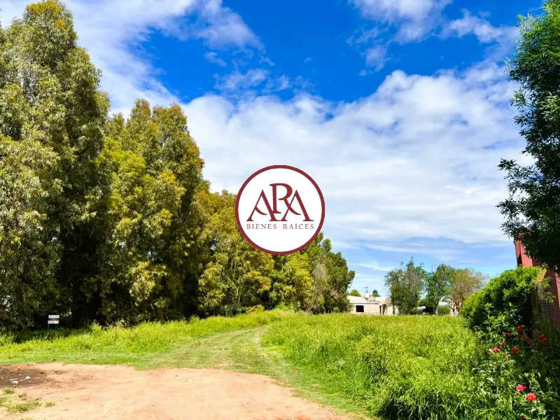 lote sobre San Martin y Monseñor de Andrea